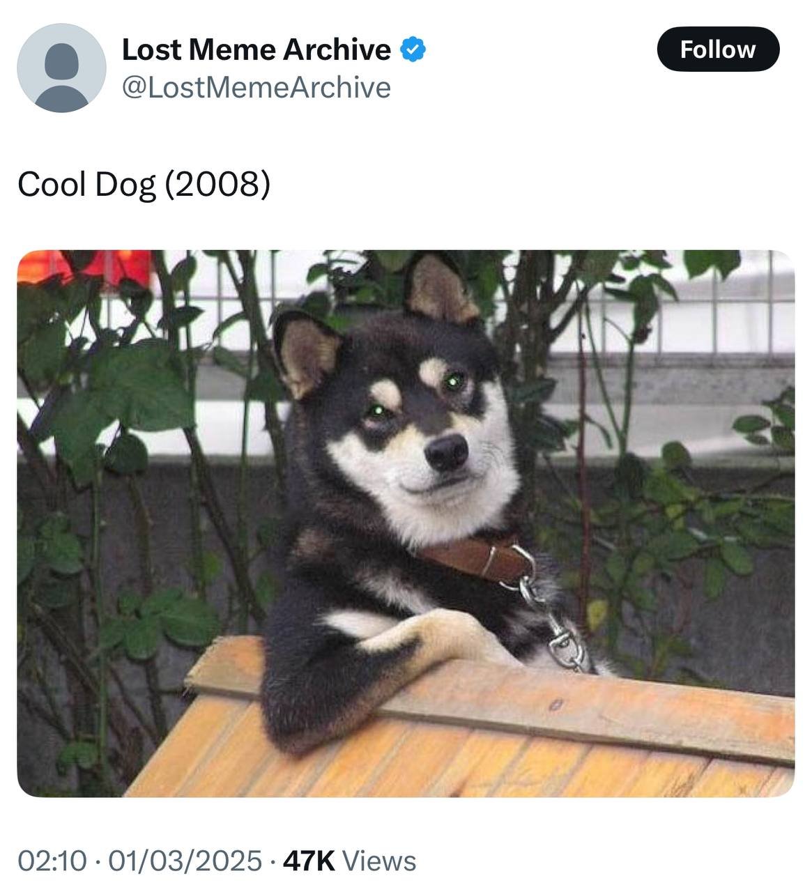 Origin Meme